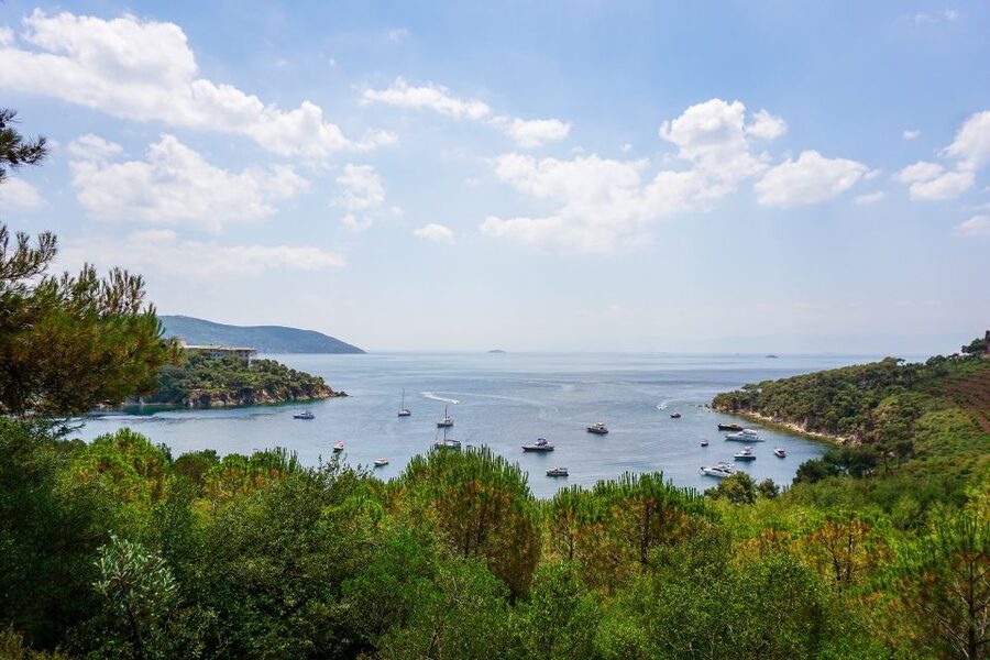 Istanbul: Princes' Islands Cruise w/Music, Lunch & Transfer - Leaving Istanbul for the Princes’ Islands