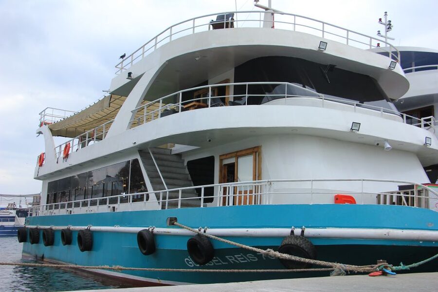Istanbul: Princes' Islands Cruise w/Music, Lunch & Transfer - Beaches and swimming on the Marmara Sea