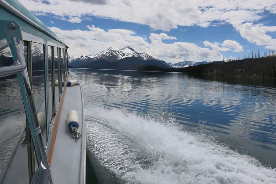Jasper: Wildlife and Waterfalls Tour with Maligne Cruise - Wildlife watching on the road