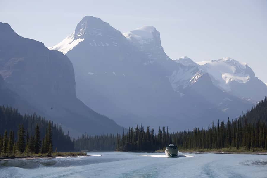 Jasper: Wildlife and Waterfalls Tour with Maligne Cruise - What the schedule feels like in practice