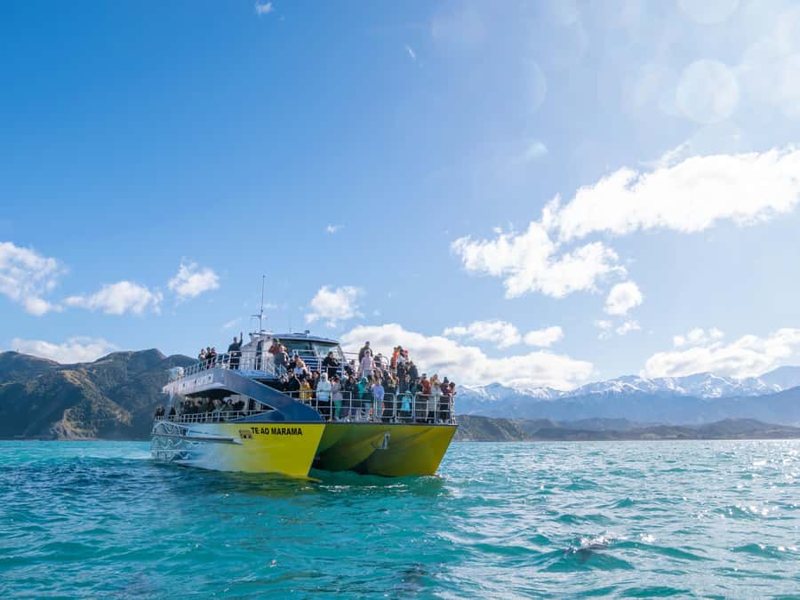 Kaikoura: Whale Watching Cruise - Key points to know before you sail