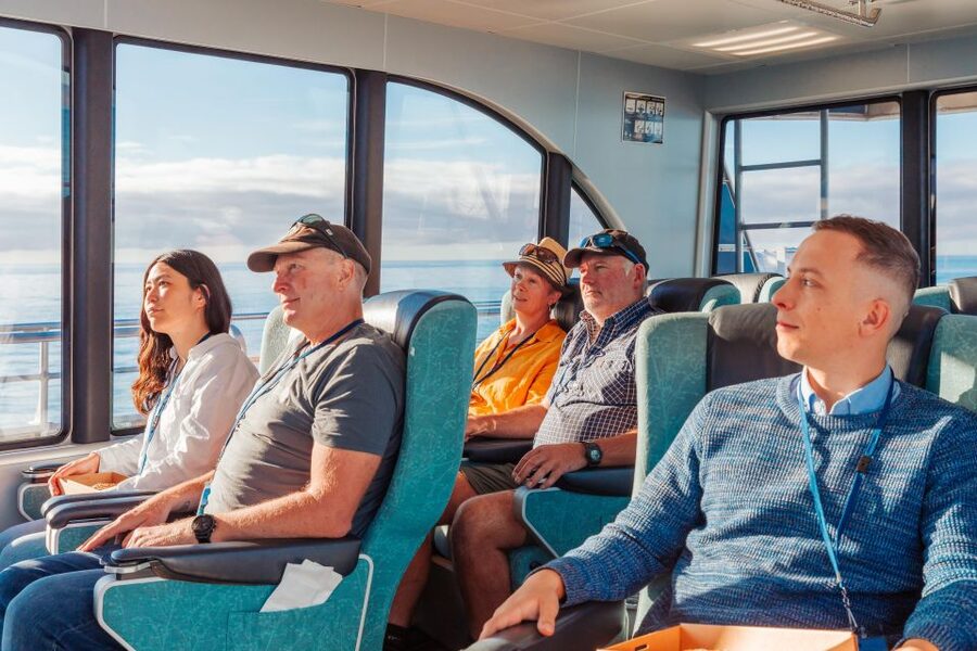 Kaikoura: Whale Watching Cruise - The value of the $104 price