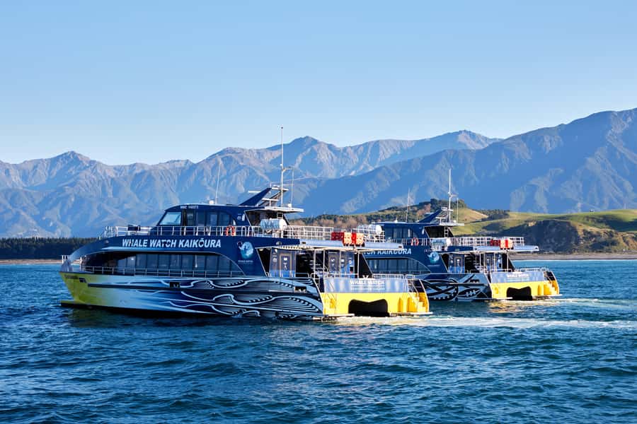 Kaikoura: Whale Watching Cruise - Mountain views and the rhythm of the trip