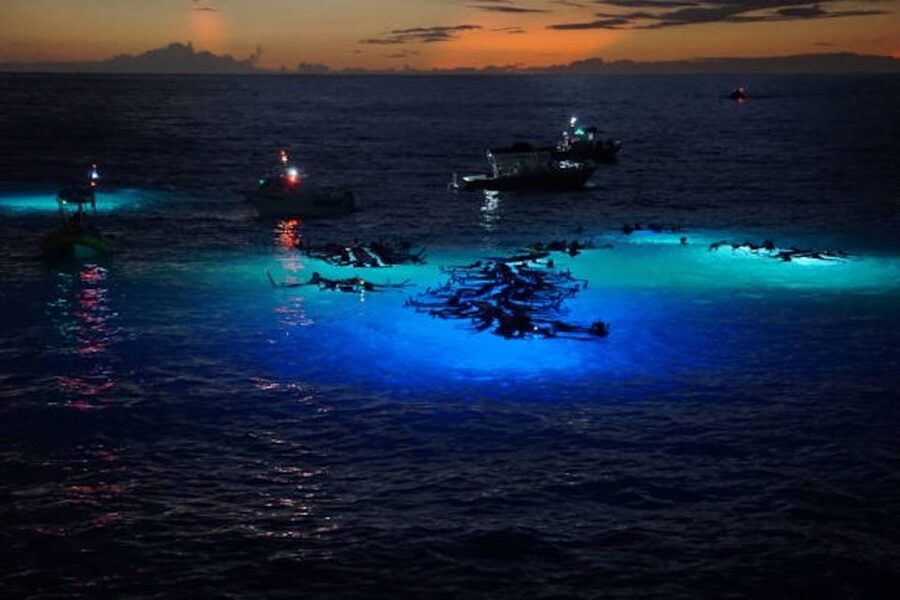 Kailua-Kona: Manta Ray Watching Nighttime Boat Trip - Key points to know before you book
