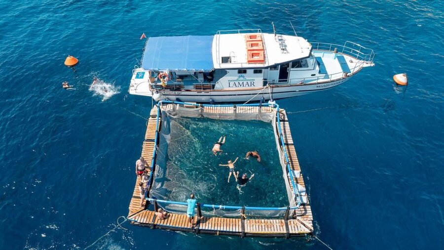 Kamiros Skala: Marine Life Experience by Boat - Key points to know before booking