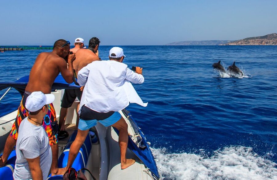 Kamiros Skala: Marine Life Experience by Boat - Practical tips for a smoother outing