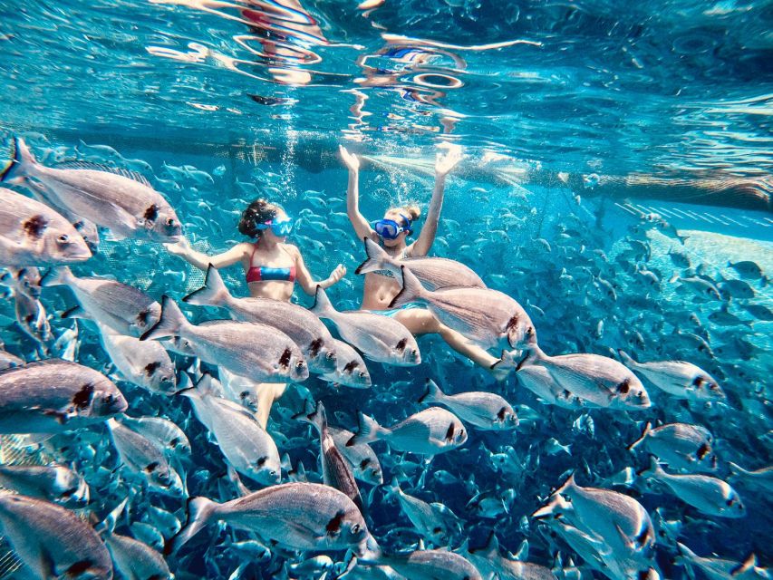 Kamiros Skala: Marine Life Experience by Boat - Why this Rhodes boat trip feels different