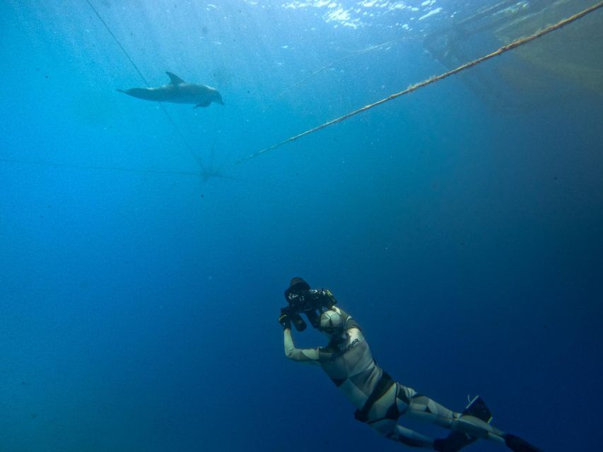Kamiros Skala: Marine Life Experience by Boat - Snorkeling at Stroggyli Islet