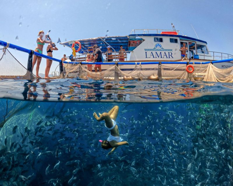 Kamiros Skala: Marine Life Experience by Boat - Families, couples, and first-time snorkelers