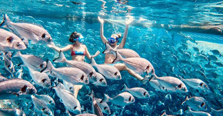 Kamiros Skala: Marine Life Experience by Boat - What the $106 price really buys