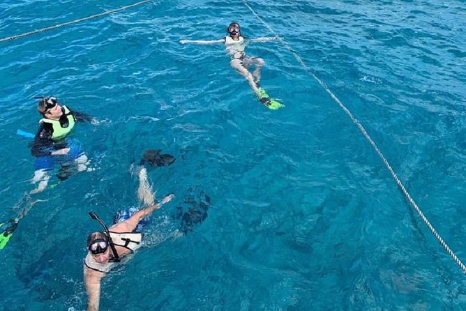 Key West Afternoon Snorkel Sail with Unlimited Cocktails! - Snorkeling over shallow reef water