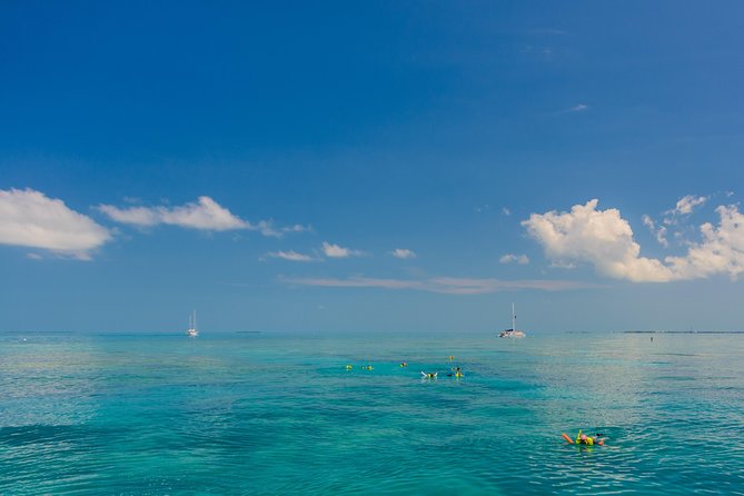 Key West Afternoon Snorkel Sail with Unlimited Cocktails! - Drinks, timing, and the return sail