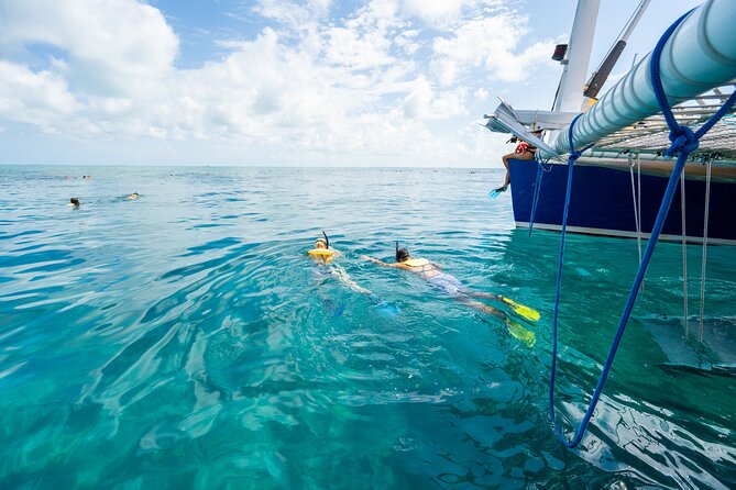 Key West Afternoon Snorkel Sail with Unlimited Cocktails! - Is $59 a fair price?