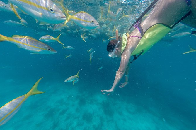 Key West Afternoon Snorkel Sail with Unlimited Cocktails! - Getting fitted with snorkeling gear