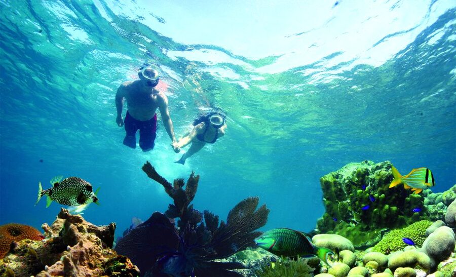 Key West: Dolphin Watching and Snorkeling Eco Cruise Tour - Key points to know before booking