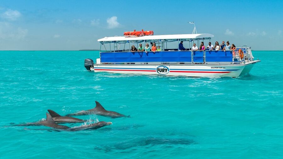Key West: Dolphin Watching and Snorkeling Eco Cruise Tour - Cruising out in search of bottlenose dolphins