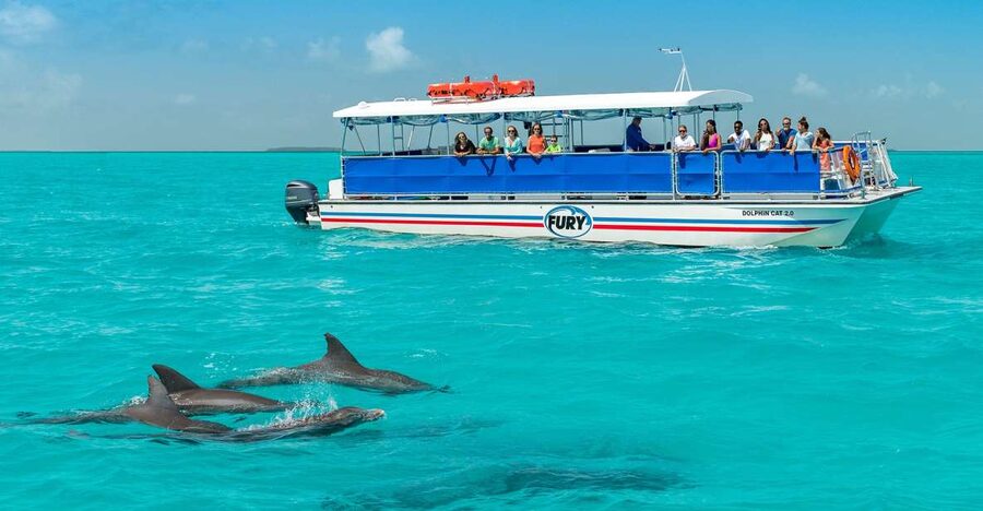 Key West: Dolphin Watching and Snorkeling Eco Cruise Tour - Drinks, shade, and the ride back to Key West