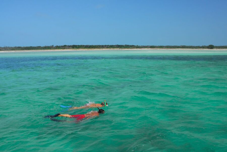 Key West: Dolphin Watching and Snorkeling Eco Cruise Tour - Why the late afternoon departure can be worth choosing