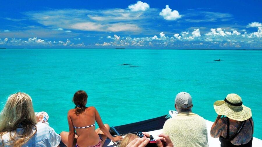 Key West: Dolphin Watching and Snorkeling Eco Cruise Tour - Meeting the boat at Captain’s Corner