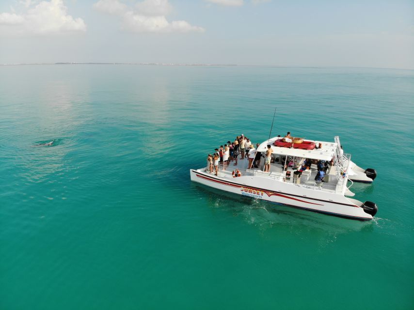Key West: Dolphin Watching and Snorkeling Sunset Cruise - Should you book it?