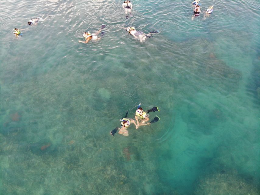 Key West: Dolphin Watching and Snorkeling Sunset Cruise - Snorkeling for about 45 minutes