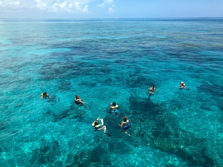 Key West: Dolphin Watching and Snorkeling Sunset Cruise - The crew is a major reason to go