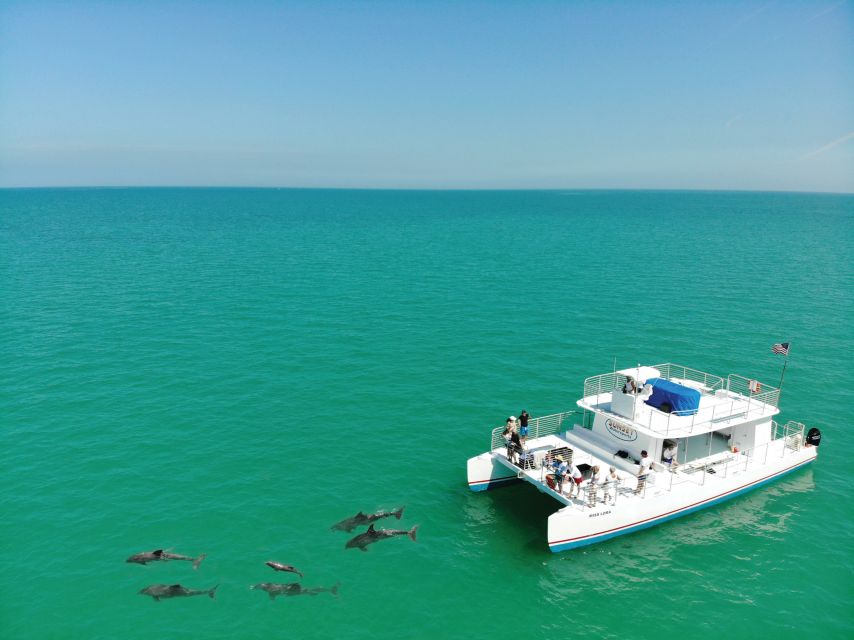 Key West: Dolphin Watching and Snorkeling Sunset Cruise - Watching dolphins where they actually live