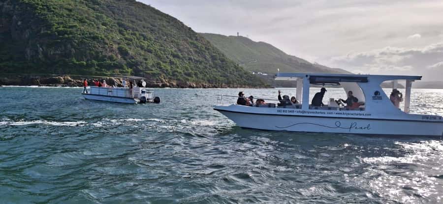 Knysna: 75-Minute Lagoon Boat Cruise - Key points to know before you go