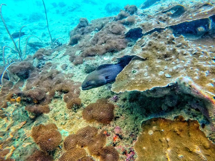 Ko Lanta: 4 Islands Snorkeling Tour by Longtail Boat - Koh Chueak: the first snorkeling stop