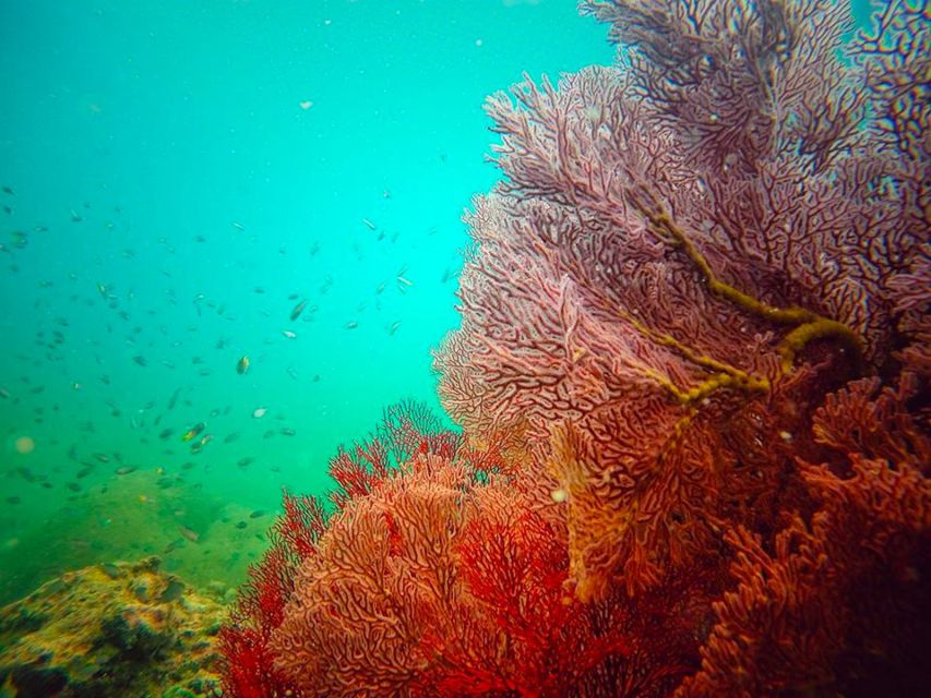 Ko Lanta: 4 Islands Snorkeling Tour by Longtail Boat - Koh Maa: another chance to swim and snorkel
