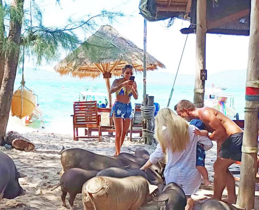 Ko Samui: Pig Island Snorkeling and Koh Tan Speedboat Tour - What the guides and crew add to the day