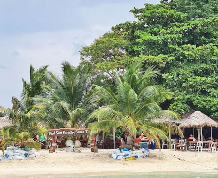 Ko Samui: Pig Island Snorkeling and Koh Tan Speedboat Tour - Who should book this Pig Island tour?