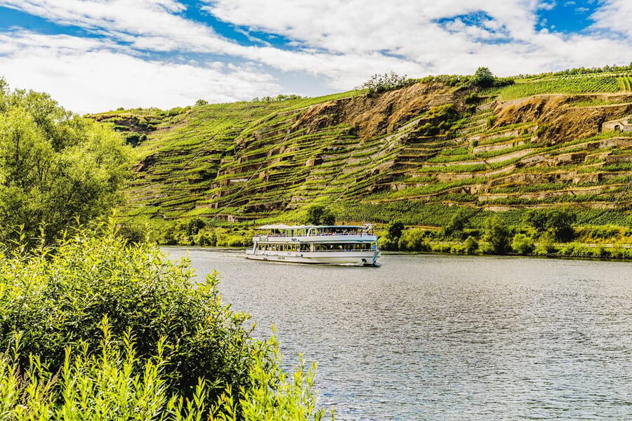 Koblenz: Panoramic Cruise on Moselle River to Winningen - The vineyard views near Güls and Winningen