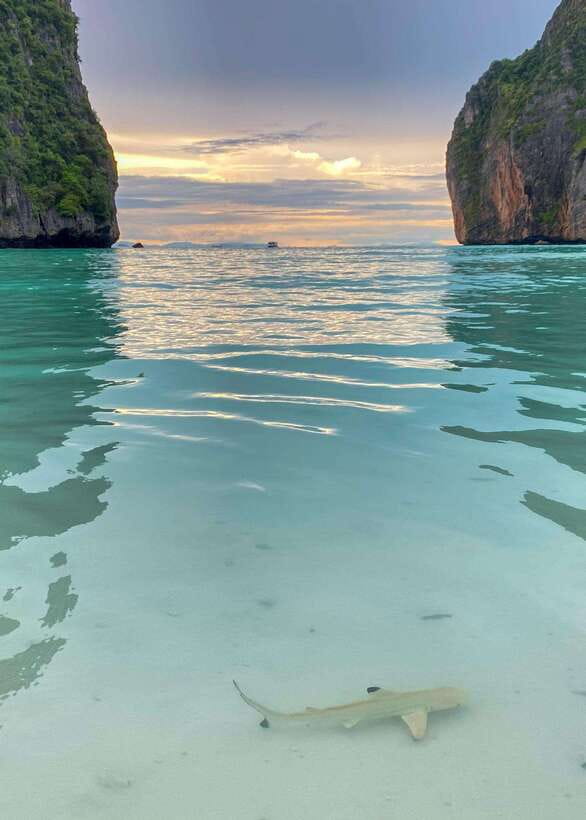 Koh Phi Phi: Maya Bay Private Longtail Boat Tour - Meeting at Blue Flow Travel near the pier