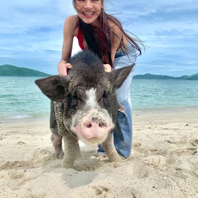 Koh Samui: Pig Island & Koh Tan Snorkeling by Speed boat - Lunch and free time on Koh Tan