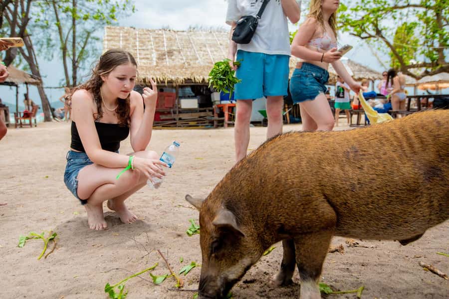 Koh Samui: Pink Dolphin Spotting & Pig Island Speedboat Tour - Practical packing advice for the day