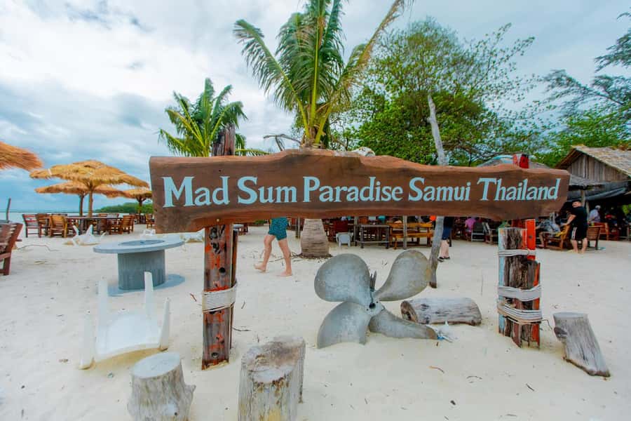 Koh Samui: Pink Dolphin Spotting & Pig Island Speedboat Tour - Searching for pink dolphins off the mainland coast