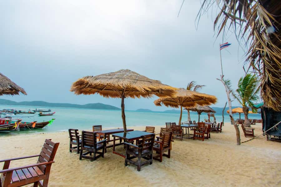 Koh Samui: Pink Dolphin Spotting & Pig Island Speedboat Tour - Who will enjoy this six-hour outing