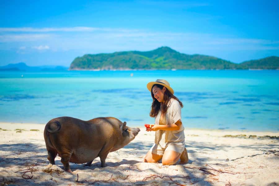 Koh Samui: Private Longtail Boat to Pig Island with Snorkel - From Thong Krut Pier to the open sea