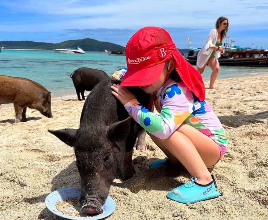 Koh Samui: Private Longtail Boat to Pig Island with Snorkel - Why the private format matters