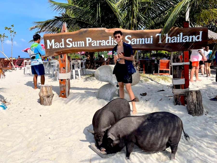 Koh Samui: Private Longtail Boat to Pig Island with Snorkel - Weather, comfort, and who should skip it