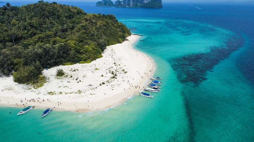 Krabi: Phi Phi Islands Speedboat Tour with Buffet Lunch - Key points to know before you book