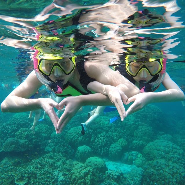 Krabi: Phi Phi Islands Speedboat Tour with Buffet Lunch - How good is the $46 value?