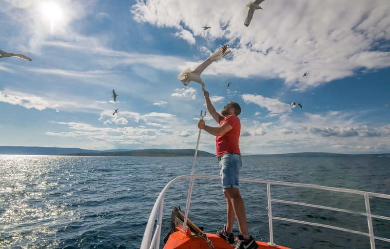 Krk: Golden Beach and Blue Cave Cruise with Welcome Drink - Kormat Island and the Seagull Show