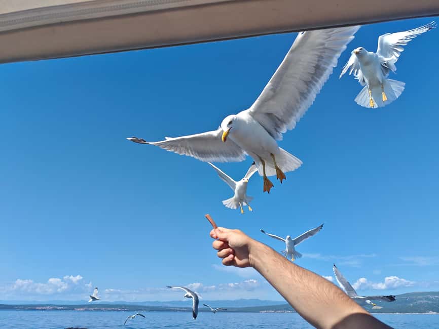 Krk: Golden Beach and Blue Cave Cruise with Welcome Drink - The Ride Back to Krk