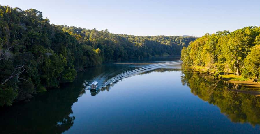 Kuranda: Riverboat Tour - A gentle cruise through Kuranda’s rainforest setting