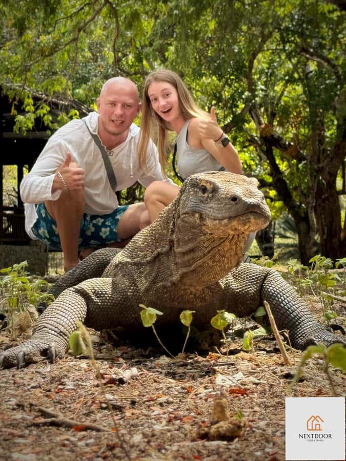 Labuan Bajo: 2D1N Komodo & Pink Beach Shared Boat Tour - Key points at a glance