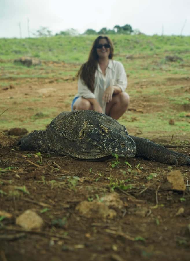 Labuan Bajo: 2D1N Komodo & Pink Beach Shared Boat Tour - Manta Point and the limits of a wild encounter