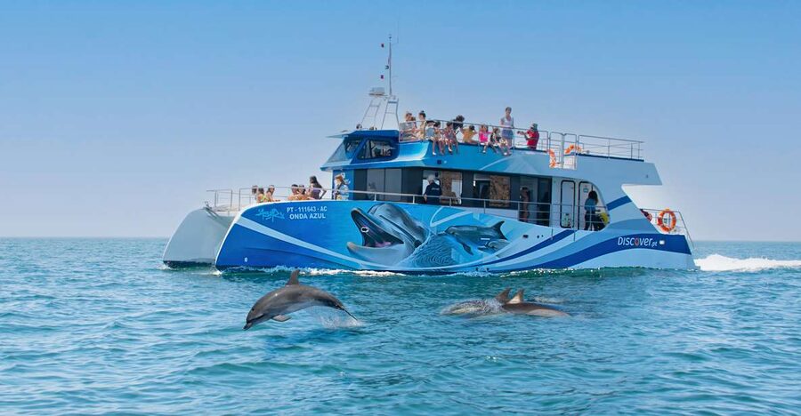Lagos: Dolphins & Caves - Catamaran - The Algarve cliffs and cave country