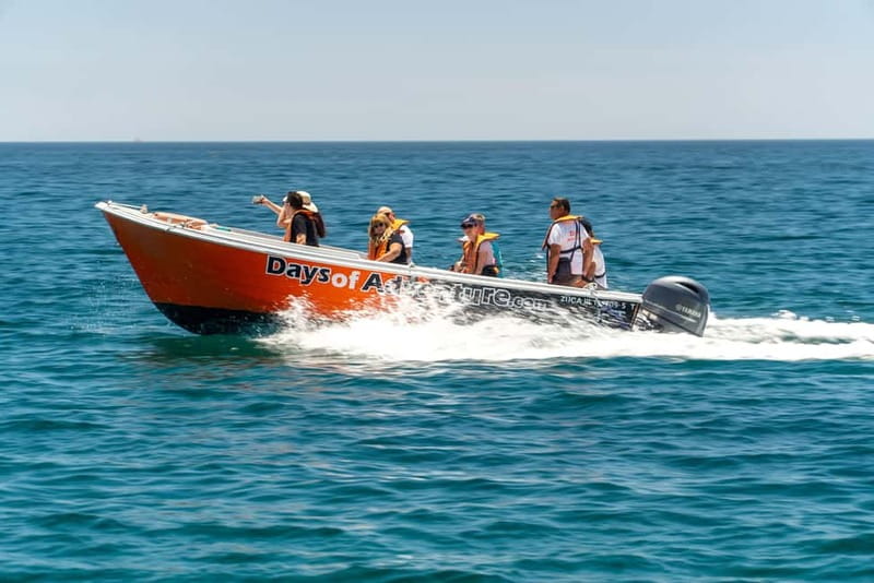 Lagos: Ponta da Piedade Caves Boat Tour - Is $20 a fair price?